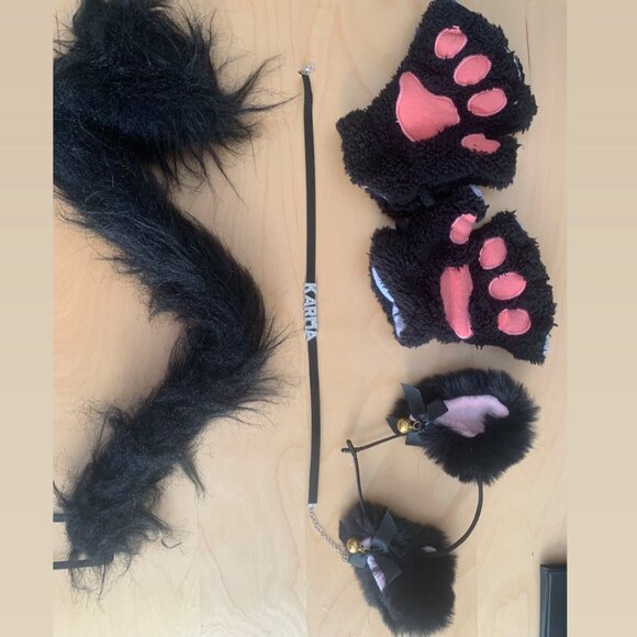 Taylor Swift Halloween Karma Cat Costume - Picture 1 of 1